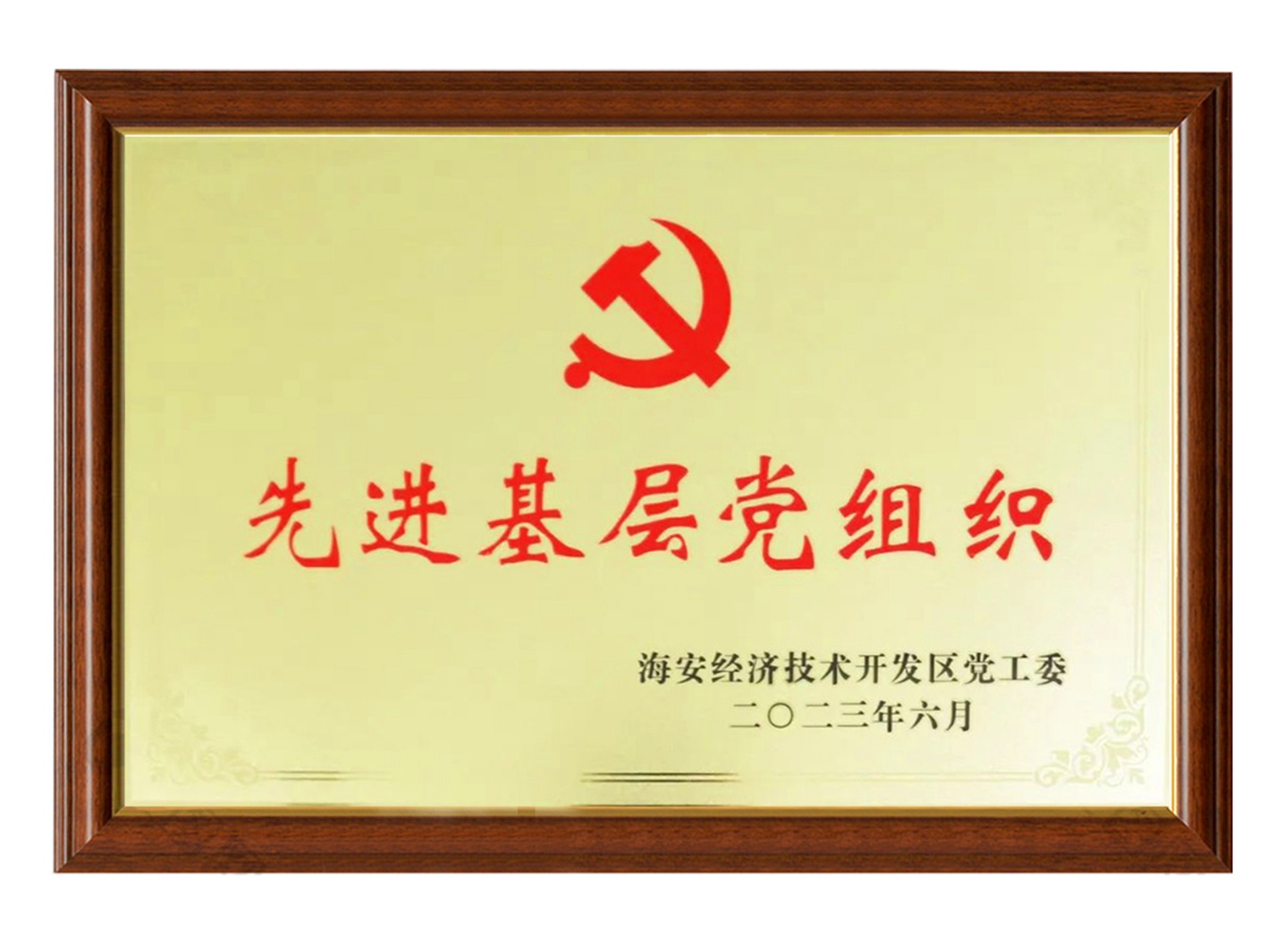 開發(fā)區(qū)先進基層黨組織